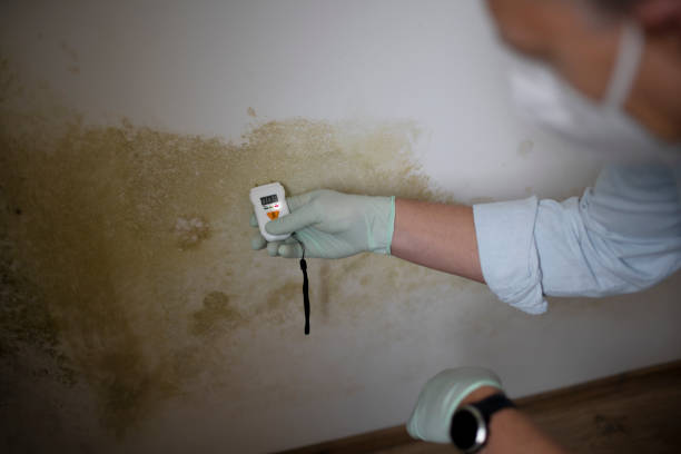 Water Damage Restoration in Valley Cottage, NY