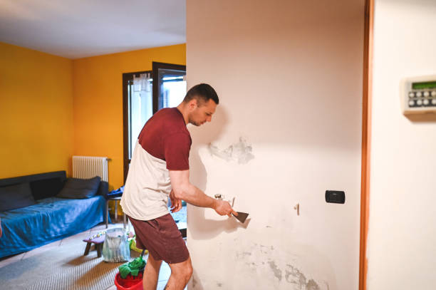 Best Mold Removal Near Me  in Valley Cottage, NY