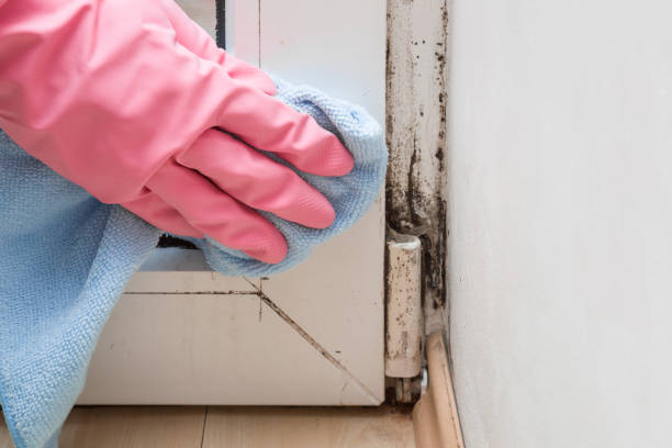 Certified Mold Removal in Valley Cottage, NY
